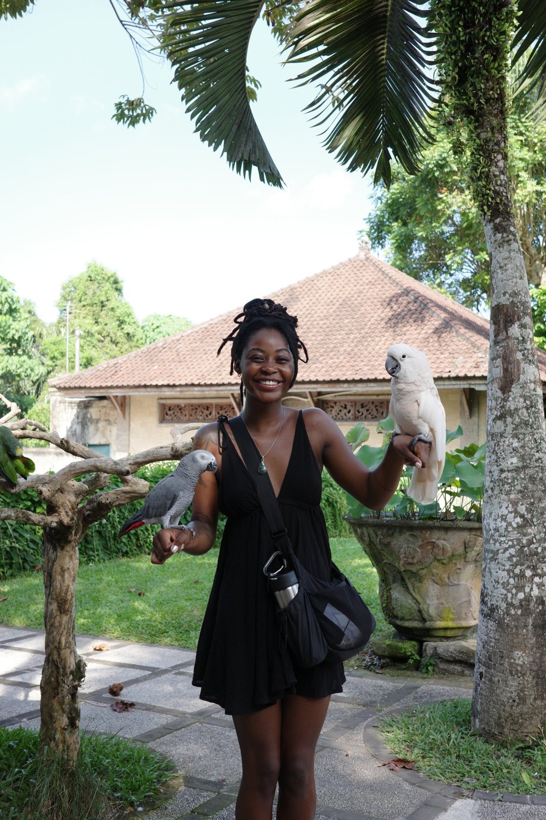 Sofi with two parrots in a Balinese garden